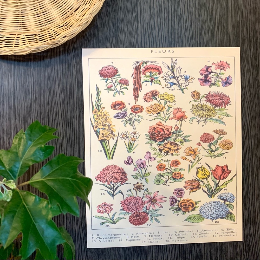 Vintage French 1909 Fleurs 1 of 2 Floral Print